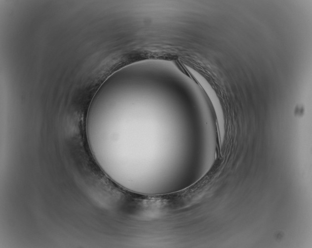 X0000095910225200801111239