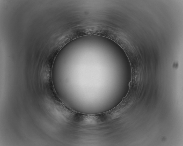 X0000095910226200801111239