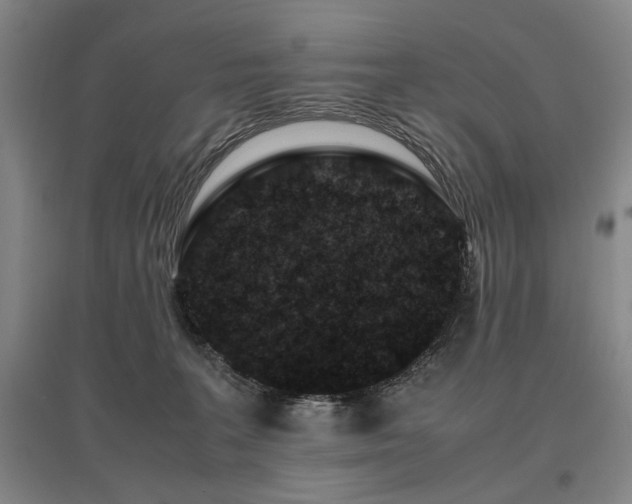 X0000095910227200801111239