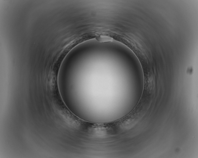 X0000095910228200801111239