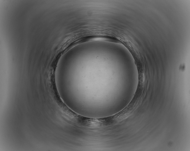 X0000095910229200801111239