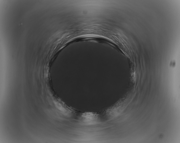 X0000095910231200801111239