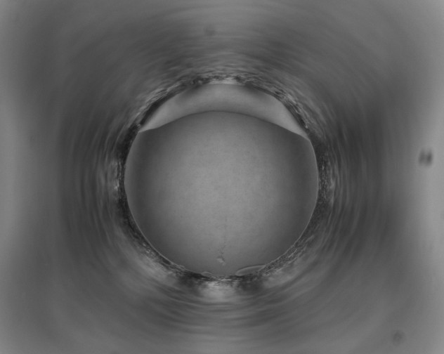 X0000095910232200801111239