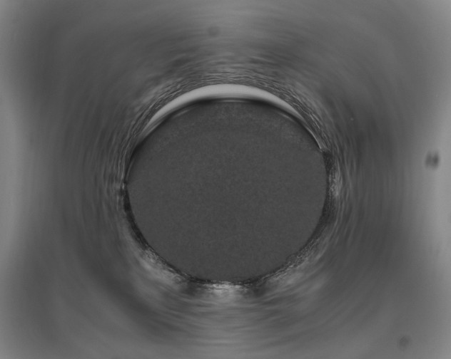 X0000095910233200801111239