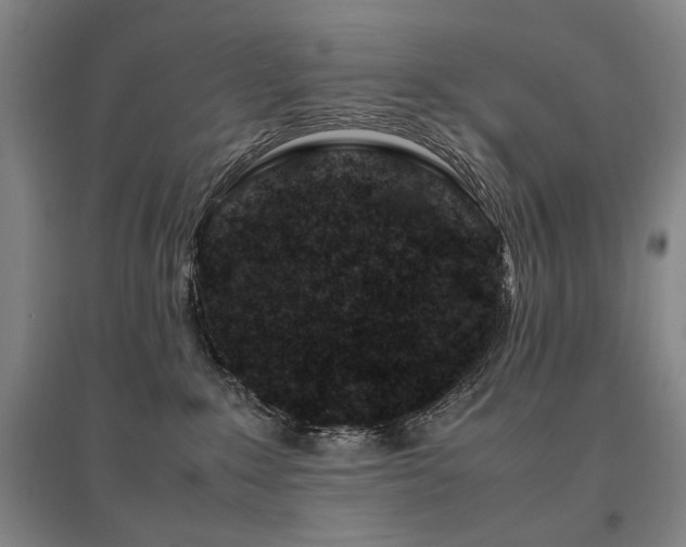 X0000095910235200801111239