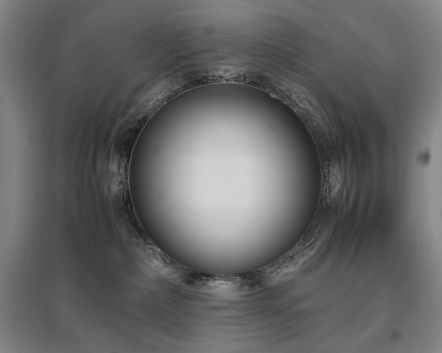 X0000095910236200801111239