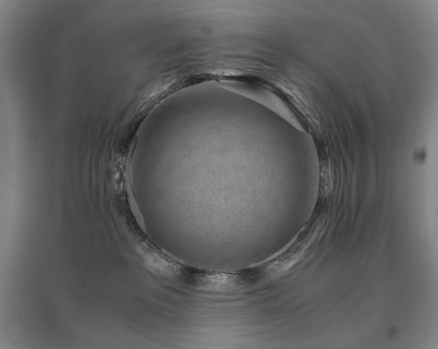 X0000095910237200801111239