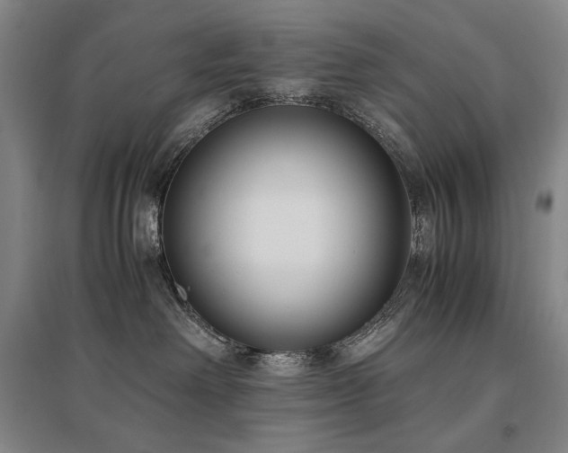 X0000095910238200801111239