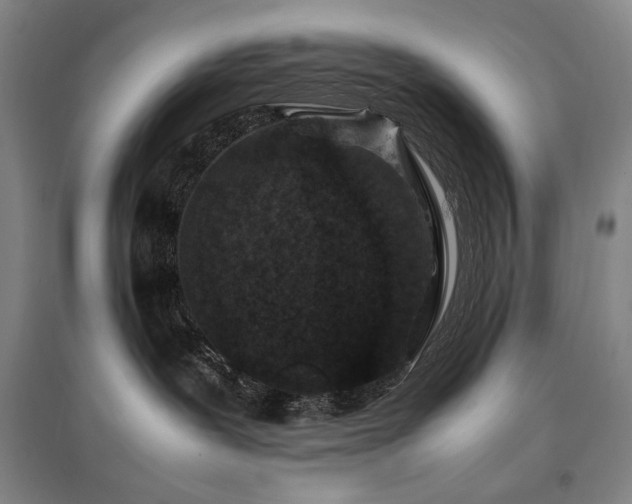 X0000095910239200801111239