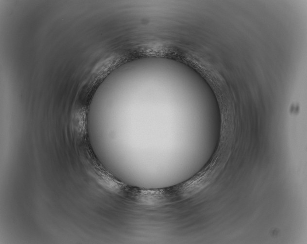 X0000095910240200801111239