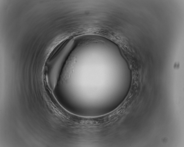 X0000095910242200801111238