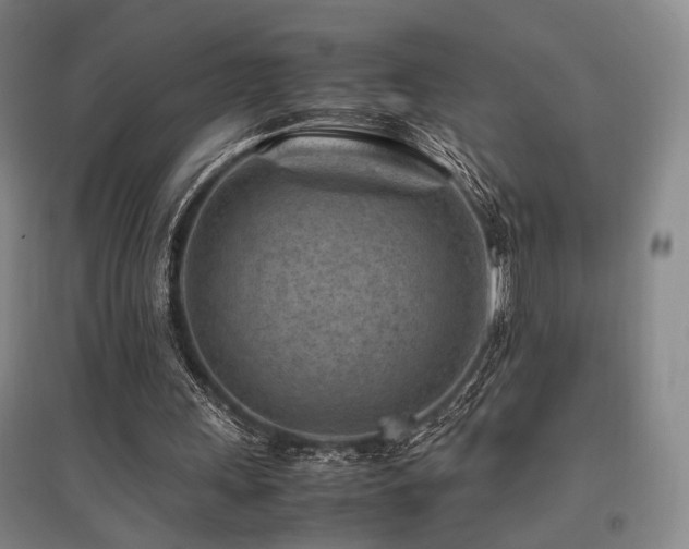 X0000095910243200801111238