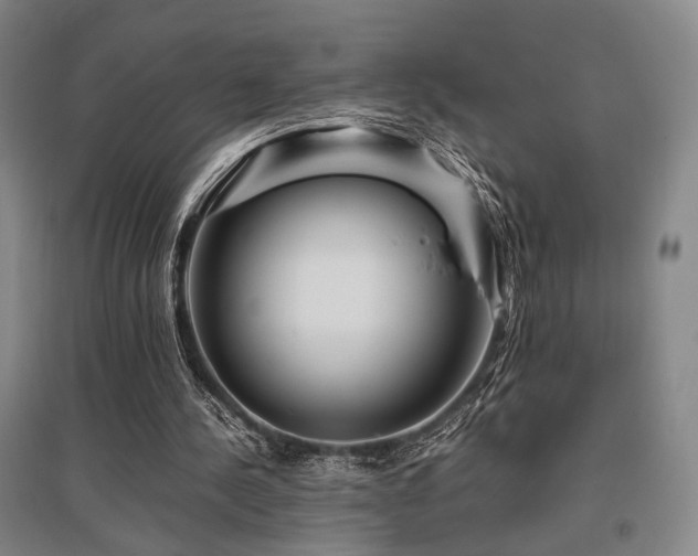 X0000095910244200801111238