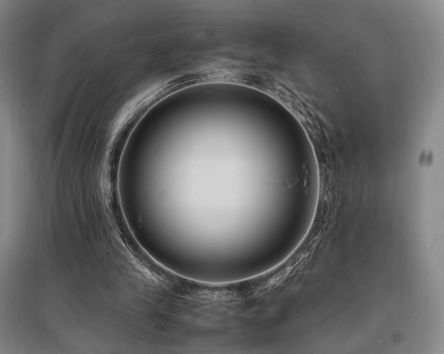 X0000095910245200801111238