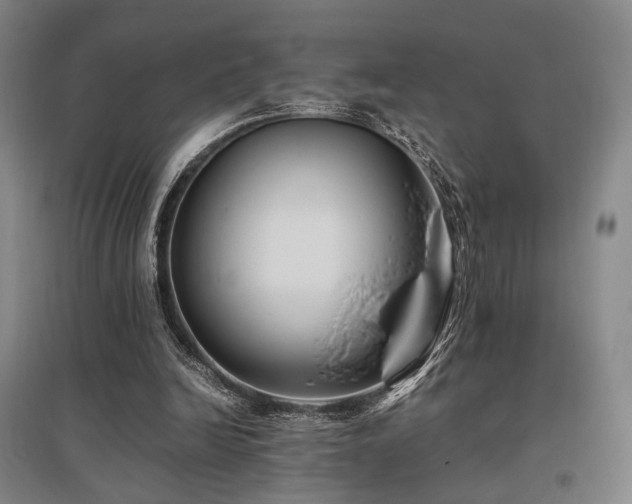 X0000095910246200801111238