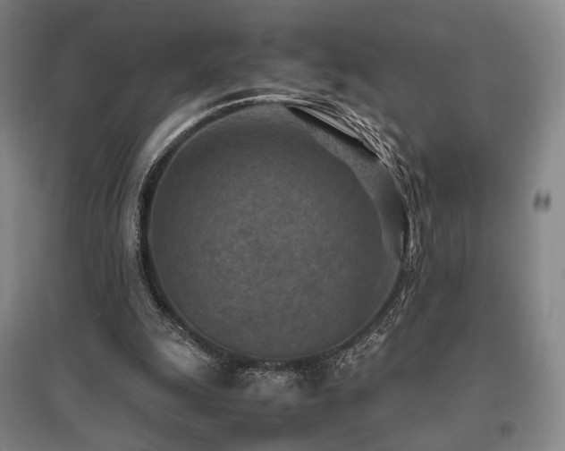 X0000095910247200801111238