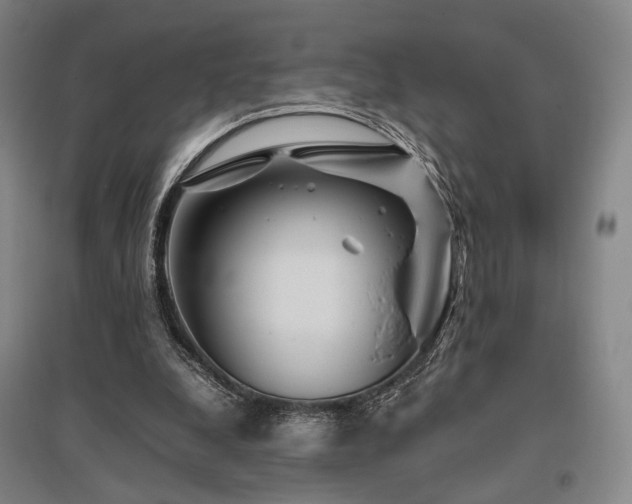 X0000095910248200801111238