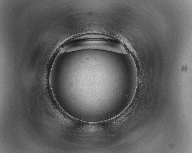 X0000095910249200801111238