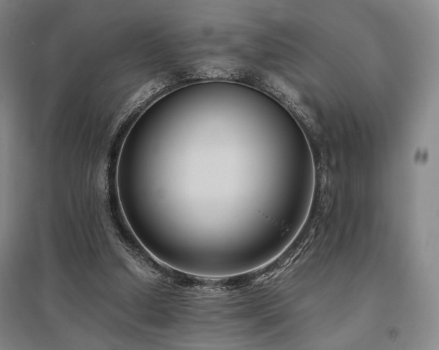 X0000095910250200801111238