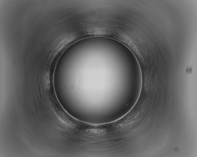 X0000095910251200801111238