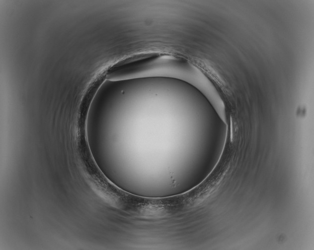 X0000095910252200801111238