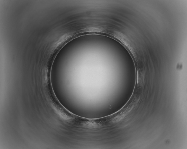 X0000095910253200801111238