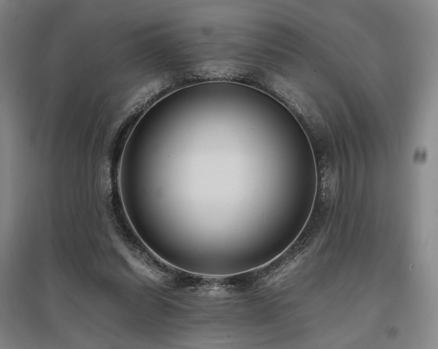 X0000095910254200801111238