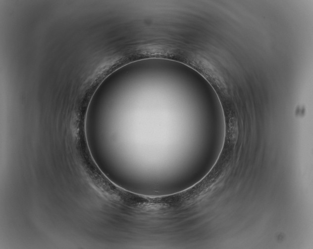 X0000095910255200801111238