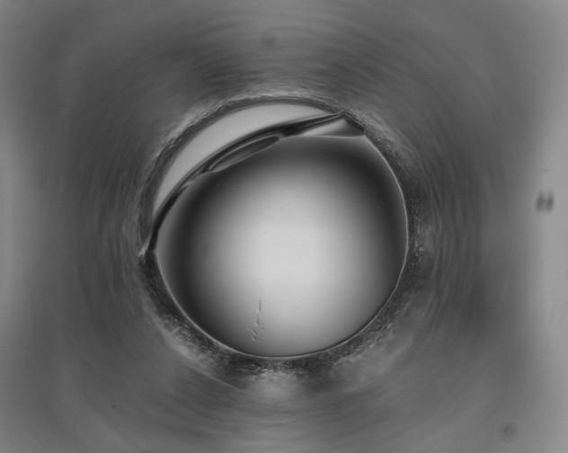 X0000095910256200801111239