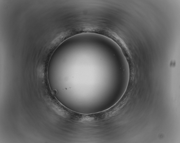 X0000095910257200801111239