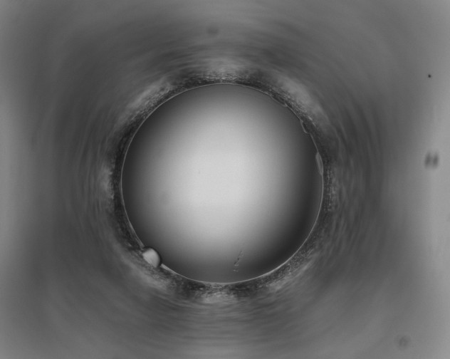 X0000095910258200801111239