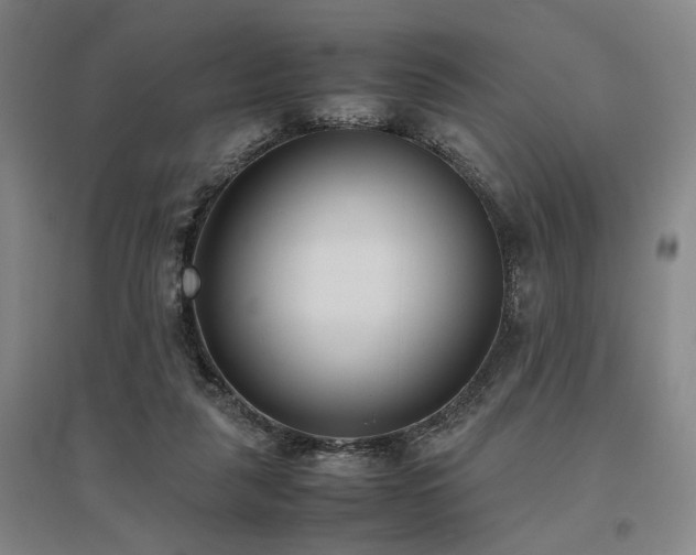 X0000095910259200801111239