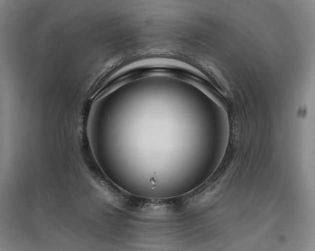 X0000095910260200801111239