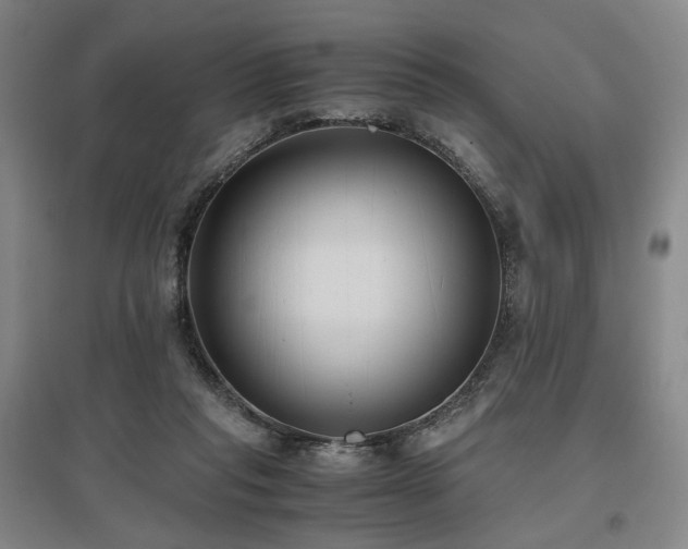 X0000095910261200801111239