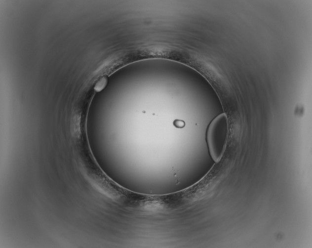 X0000095910262200801111239