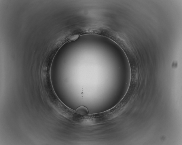 X0000095910263200801111239