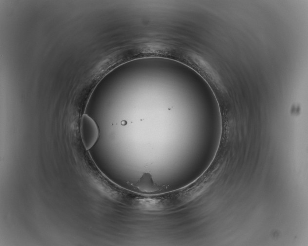 X0000095910265200801111239