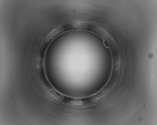 X0000095910266200801111239