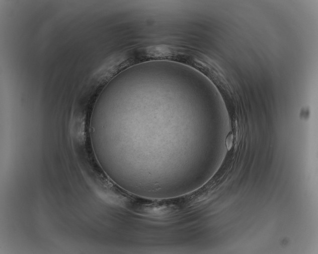 X0000095910267200801111239