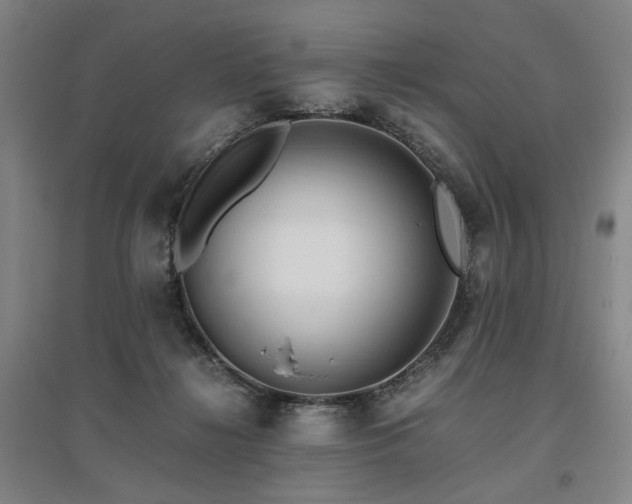 X0000095910268200801111239