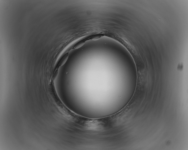 X0000095910269200801111239