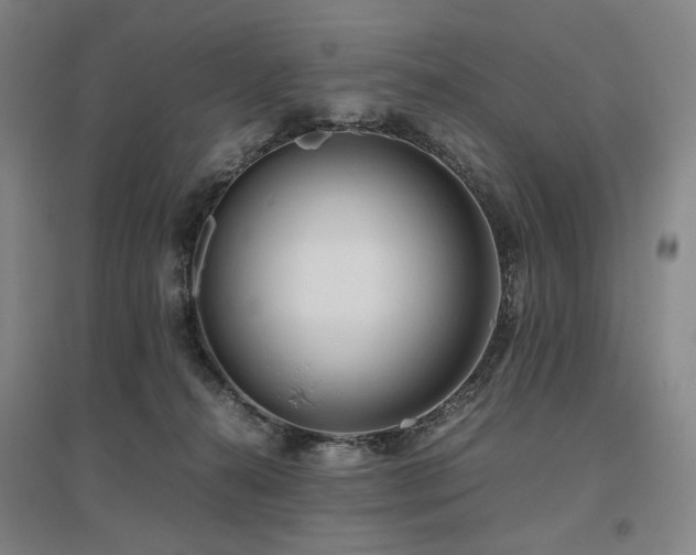 X0000095910272200801111239