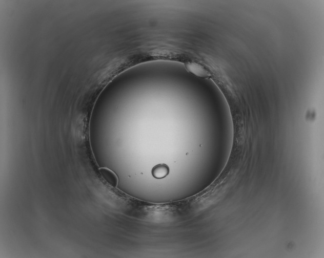 X0000095910273200801111239