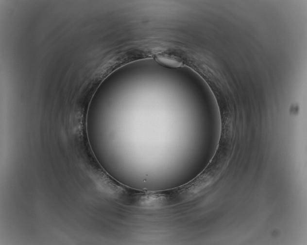 X0000095910274200801111239