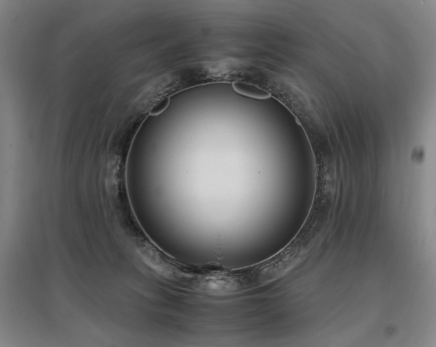 X0000095910275200801111239