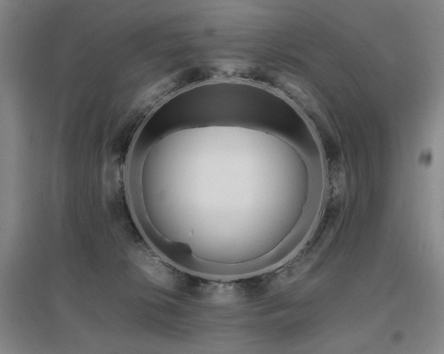 X0000095910276200801111239