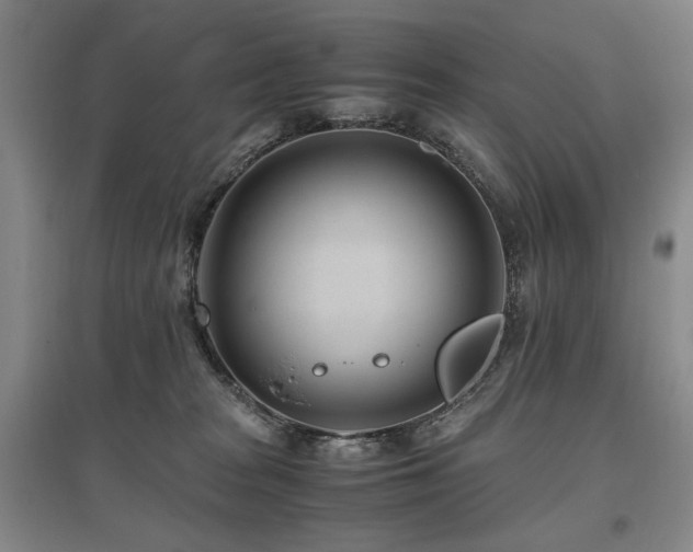 X0000095910277200801111239