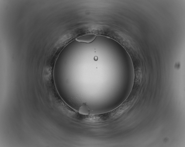 X0000095910278200801111239