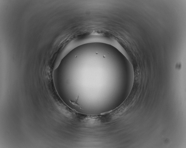 X0000095910280200801111239