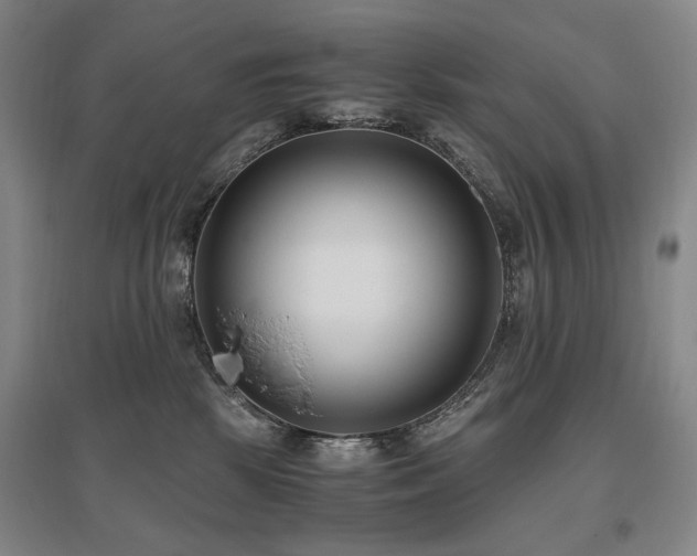 X0000095910281200801111239